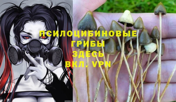хмурый Переславль-Залесский
