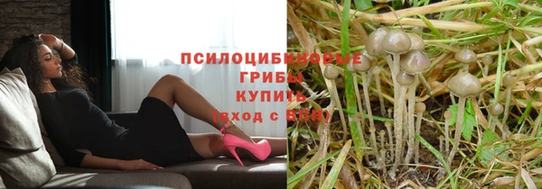 хмурый Переславль-Залесский