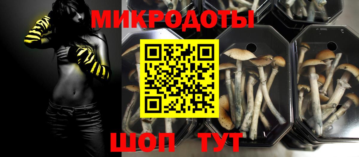 Псилоцибиновые грибы GOLDEN TEACHER Чернушка